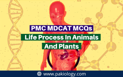 PMC MDCAT MCQs On Life Process In Animals And Plants