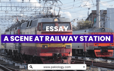 A Scene At Railway Station Essay