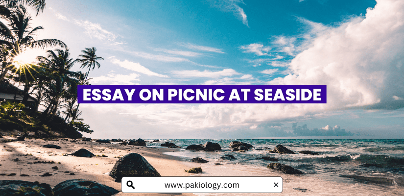 essay on picnic at seaside in urdu