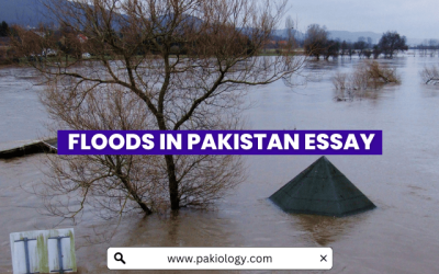 Floods in Pakistan Essay: Causes and Prevention