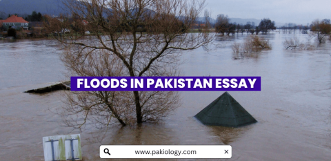 easy essay on flood in pakistan