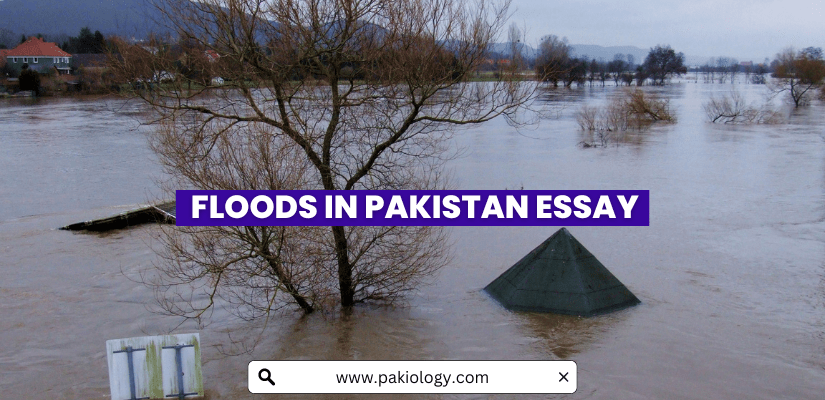essay on flood disaster in urdu