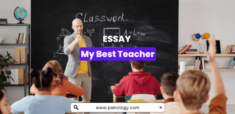 essay about best teacher