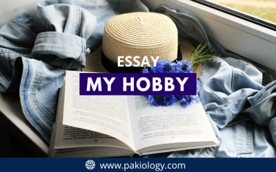 My Hobby Essay In English