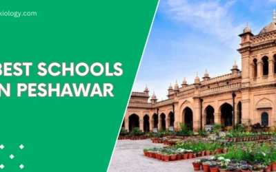 Top 10 Best Schools in Peshawar in 2024